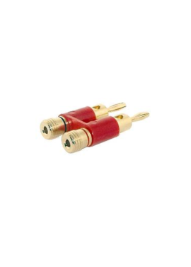 Doble plug y Jack Banana Grande Gold R y N